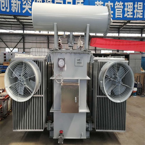 盐边S20-8000KVA变压器